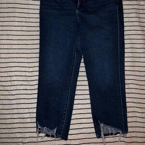 Express Midnight Blue Cropped Jeans